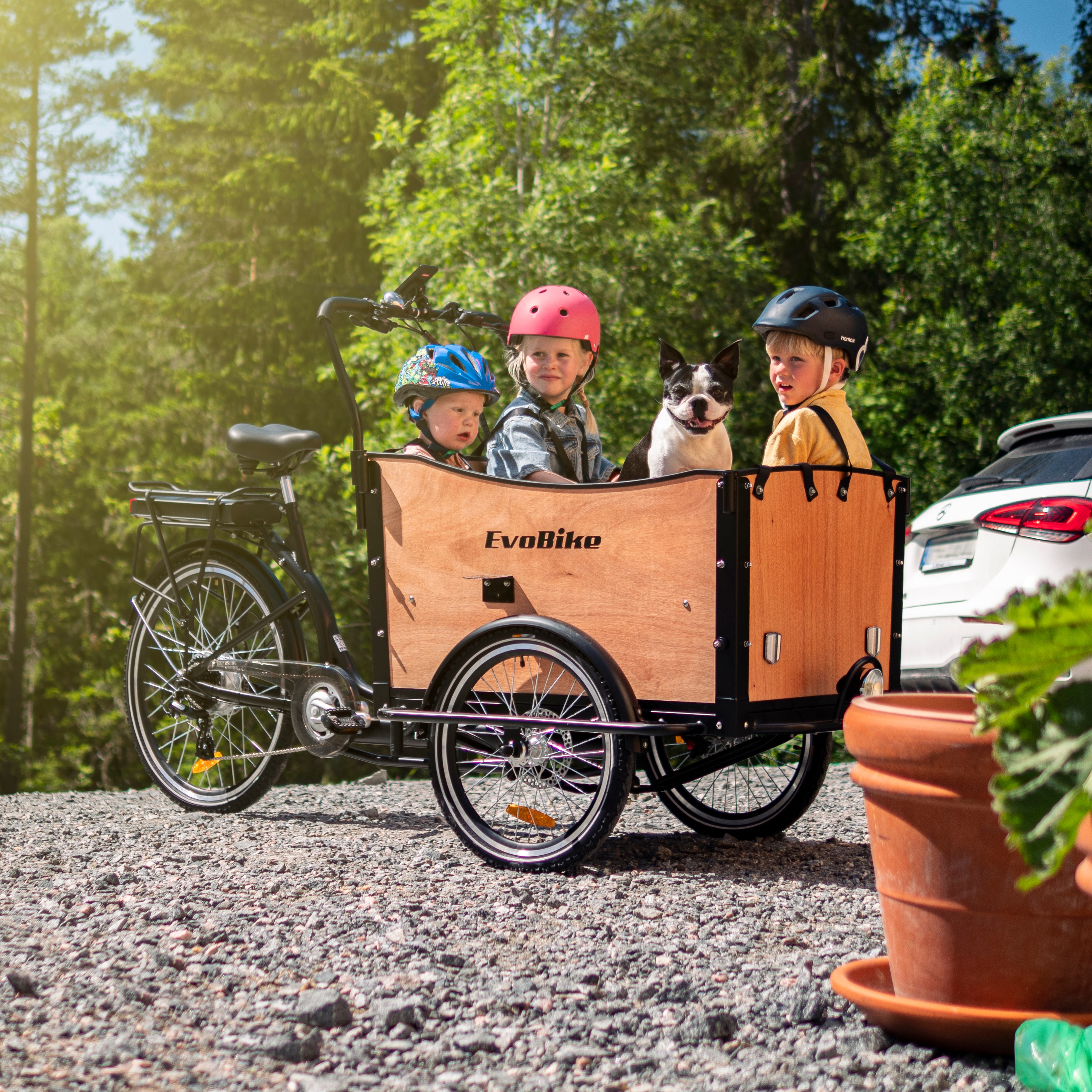 EvoBike Cargo Classic